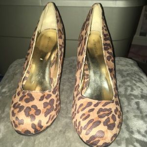 Cheetah pumps